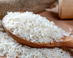  Rice